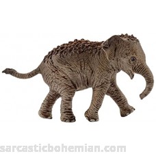 Schleich North America Asian Elephant Calf Figure 7.9 x 3.0 cm B01CCOIEK4